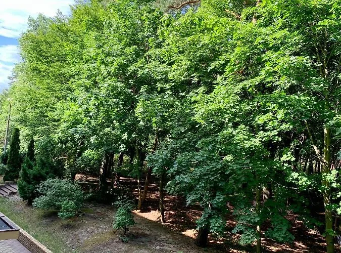 公寓 Baltic Sun 80qm